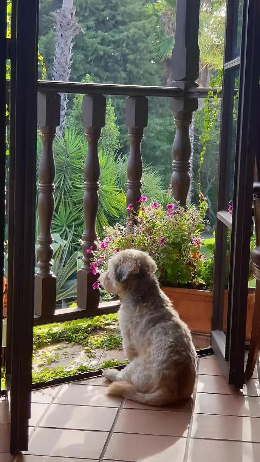 Bed and Breakfast La Casa Del Torreon Aljaraque Bed & Breakfast